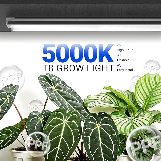 Barrina T8 Grow Lights for Indoor Plants, 4FT Full Spectrum Grow Light, 168W(4 x 42W), Plant Lights for Greenhouse Indoor Growing, V-Shape with Reflector, Linkable, 5000K Daylight White, 4 Packs