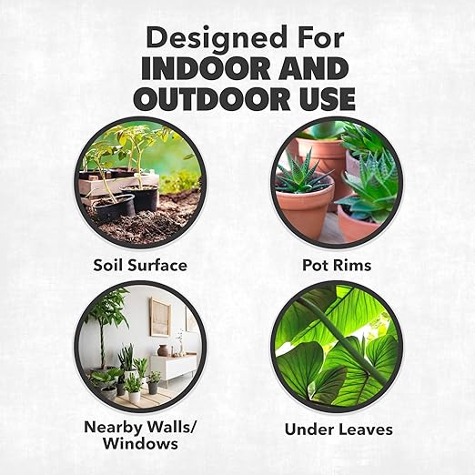 Fungus Gnat Killer Spray, Fast-Acting Treatment for Soil & Houseplants, 16 oz (475mL)