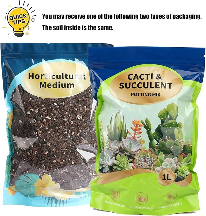 Doter Succulent & Cactus Soil Potting Mix 1qt, Chunky Dirt with Fast Draining Fits for Bonsai, Terrarium and Houseplant