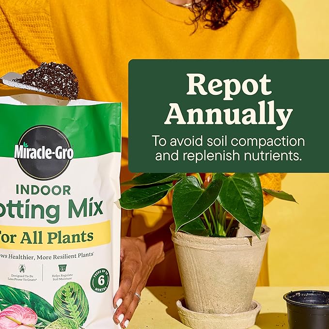 Miracle-Gro Indoor Potting Mix (6 qt.) and Plant Food (8 fl. oz.) for All Plant and Plant Care Leaf Protect & Shine (8 fl. oz.) - Bundle for Growing, Fertilizing, Protecting and Cleaning Houseplants
