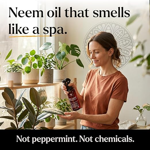 Neem Oil Spray for Plants – Big Leaf Energy, with Essential Oils – Ready-to-Use Plant Spray for Outdoor & Indoor Plants, Made in USA (16 fl oz)