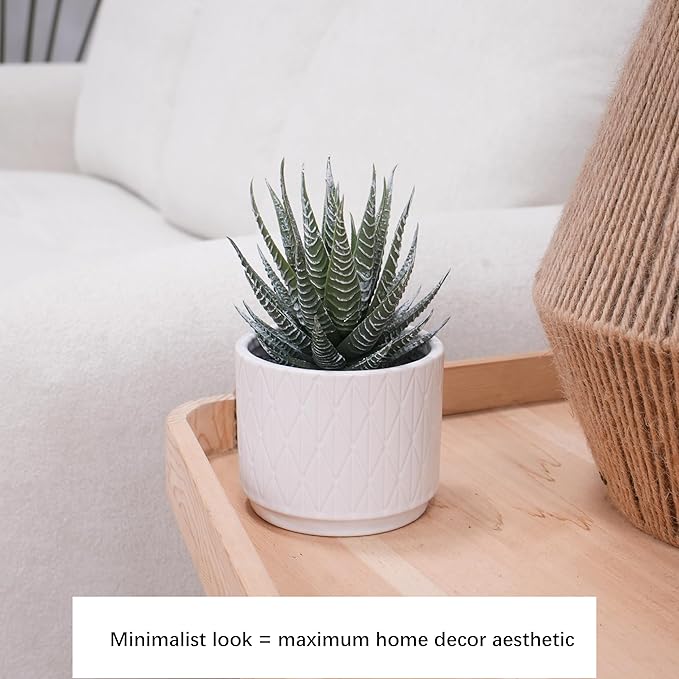 Jahe Aloe Plant Artificial Plants Indoor, 6.7'' High Faux Plants Indoor, Realistic Looking Artificial Succulent in Ceramic Pot, As a Gift for Women, Suitable for Room, Bathroom, Living Room, 1 Pack