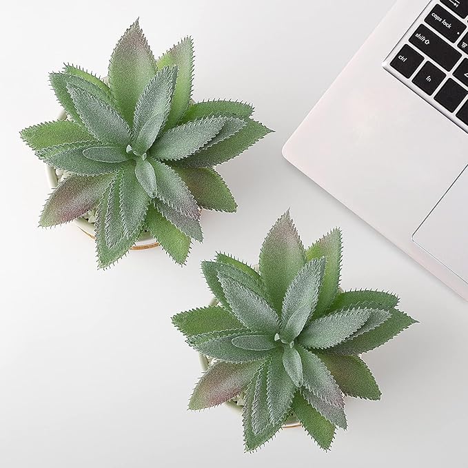 Hopewood Artificial Succulents Plant, Faux Agave Succulent Plant in Ceramic Pots with Bamboo Tray, Fake Potted Plants for Office Desk Living Room Decor(Set of 2)