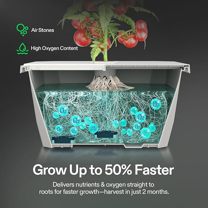 VIVOSUN VGrow DWC Hydroponics System Kit, Only for VGrow Smart Grow Box, Not Compatible with E42A/E42A+/A22/A10，Not Used in Grow Tent, 4-Gallon with Air Stones & Rapid Rooters