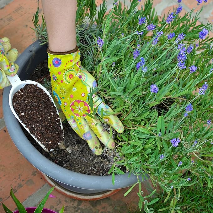 Doter Premium Lavender Potting Mix 2qt, Promotes Lavender Blossoming, Perfect for Indoor and Outdoor Gardening