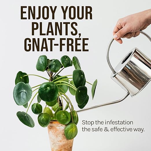 Microbe-Life Hydroponics FGX Fungus Gnat Killer, Natural BTi Pest Control for Plants, Indoor Plant Pest Control to Get Rid of Gnats in Houseplants, Safe for Pets & People, 8 Fl Oz
