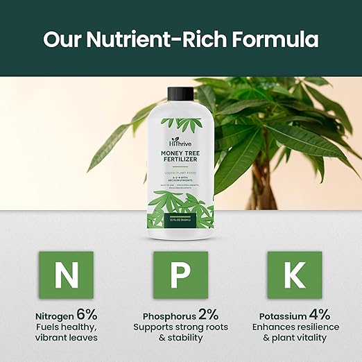 32oz Money Tree Plant Indoor Fertilizer - Makes 192 Gallons of Money Tree Fertilizer - Nutrient-Rich Plant Food with Macro & Micronutrients for Glossy Leaves, Strong Roots, and Lush, Tropical Growth
