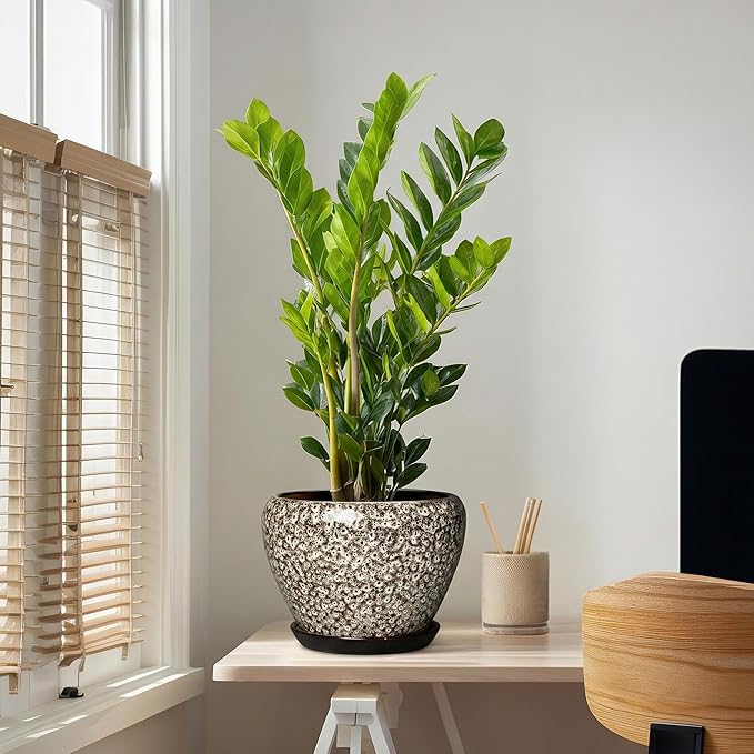 Ceramic Pots for Plants - 10 Inch Planters for Indoor Outdoor Plants, Decorative Plant Pots with Drainage Hole and Saucer, Large Plant Pot, Living Room Decor, Gardening Gifts, White Leopard