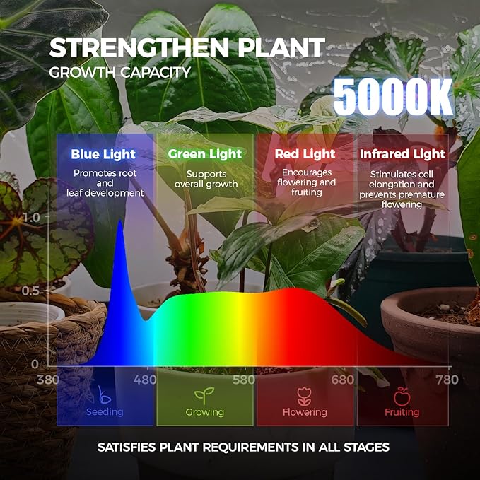 Barrina LP750 Indoor Greenhouse with Grow Light, 105W TX-S35 Full Spectrum Grow Lights, 2FT, 5000K, 4-Tier Plant Shelf with Tent, Timer & Thermometer for Seed Trays, Growth, 29.5 x 13.8 x 59.1IN