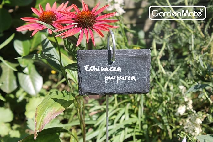 GardenMate 10-Pack Natural Style Slate Plant Labels (4"x 2 3/4") Hanging from a Stainless Steel Metal Rod (22")