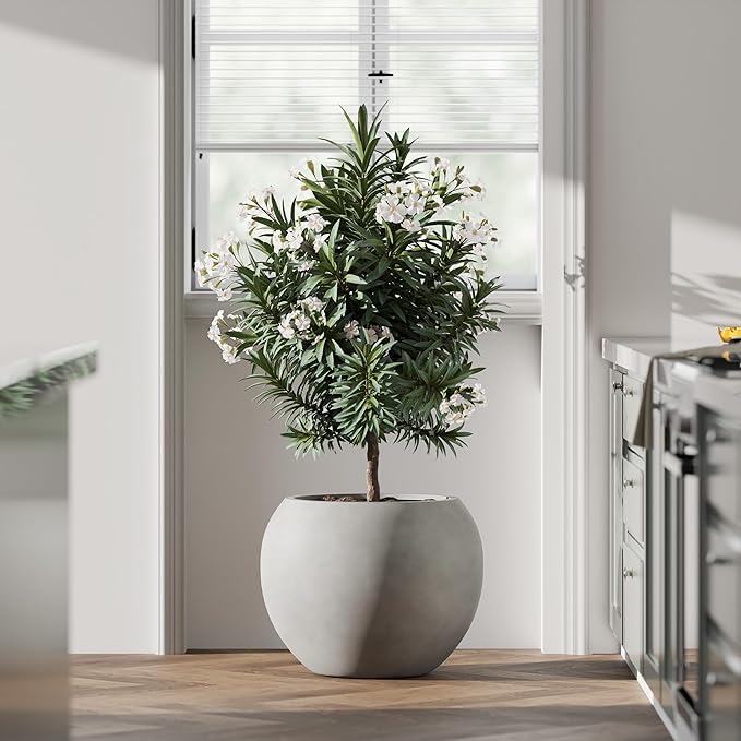 DTY Mount Sherman 12.6" D x 10'' H (Pot Opening 8.5") Fiberstone Round Planter with Drainage Hole, Smooth Finishes, Weather Resistant for Indoor and Outdoor, 2 Extra Coco Mats - Gray, Small