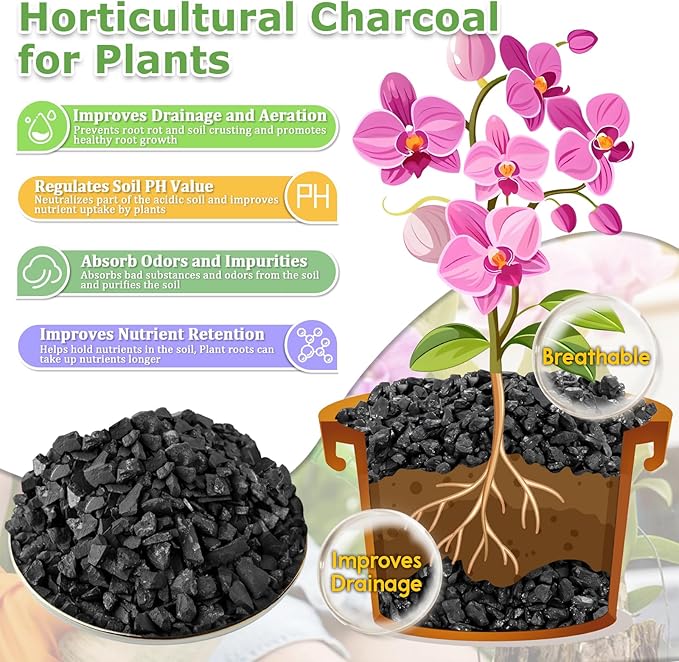 Legigo 2 QT Horticultural Charcoal- Natural Charcoal for Plants, Biochar Soil Amendment for Indoor Plants, Terrariums, Orchids Potting Mix and Gardening