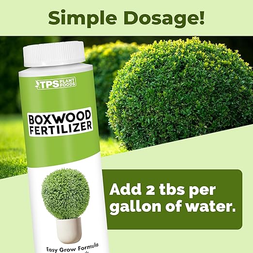 Boxwood Fertilizer – Liquid Plant Food for Dense Growth, Rich Green Foliage, & Stronger Roots, 8 oz