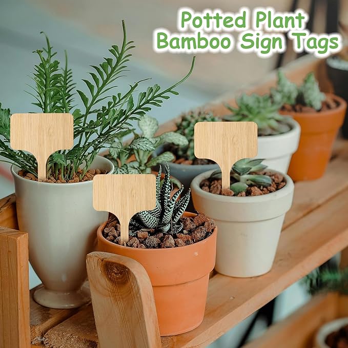 75Pcs Bamboo Plant Labels with 1 Marker Pen, T-Type Natural Seedling Nursery Sign Tags, Wood Garden Markers Decorative Patio Tags for Outdoor Indoor Potted Plants Herbs Flowers Vegetables