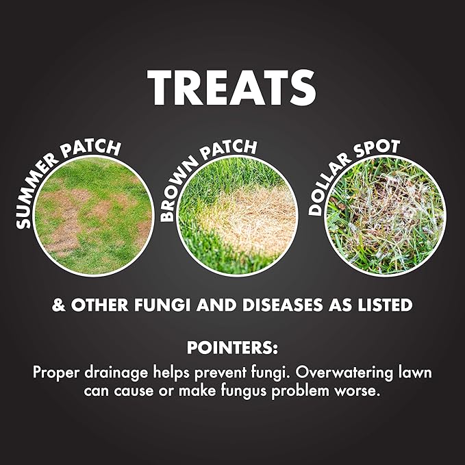 Spectracide Immunox Fungus Plus Insect Control For Lawns 32 Ounces, Dual Action, Hose-End Concentrate, 6 Pack