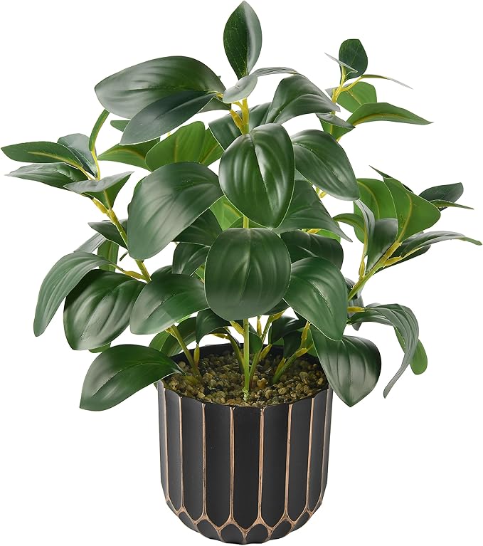 florisso Artificial Succulents & Fig Leaf Potted Decor - Faux Succulents with Fig Leaf Greenery in Black & Gold Plastic Planter (No Actual Figs) for Farmhouse, Bathroom, Bedroom & Office Decor