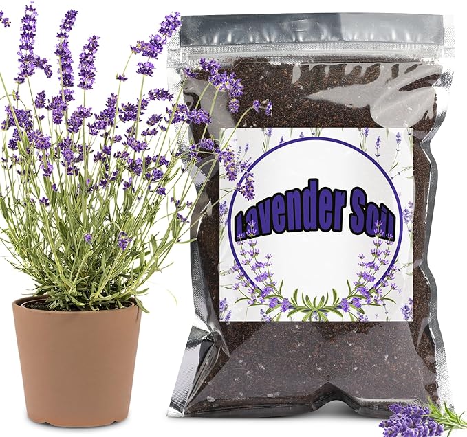 Doter Premium Lavender Potting Mix 2qt, Promotes Lavender Blossoming, Perfect for Indoor and Outdoor Gardening