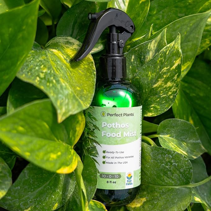 Pothos Spray Fertilizer by Perfect Plants | Liquid Plant Food for Potted Indoor Pothos | Foliage Growth Booster Balanced Phosphorus Free NPK Ratio (8 fl oz)
