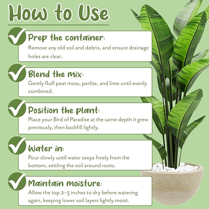 Soil Sunrise Bird of Paradise Potting Soil Mix (8 Quarts) All Natural Mix for Indoor/Outdoor Container Tropical Plants