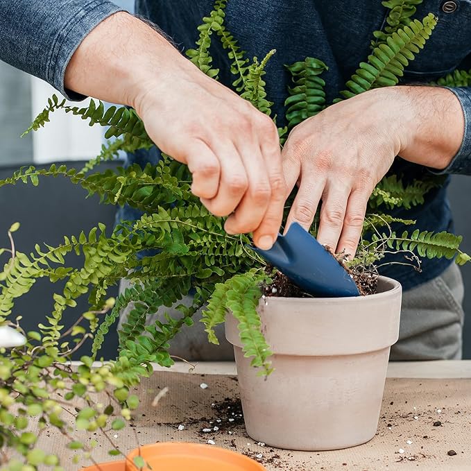 Doter Potting Soil Mix for Fern 1qt, Custom Hand Blended Mixture Suitable for Indoor/Outdoor Potted Fern Plant