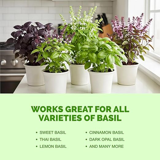 Basil Fertilizer – Liquid Plant Food for More Leaves, Fuller Plants & Fast Regrowth, 8 oz