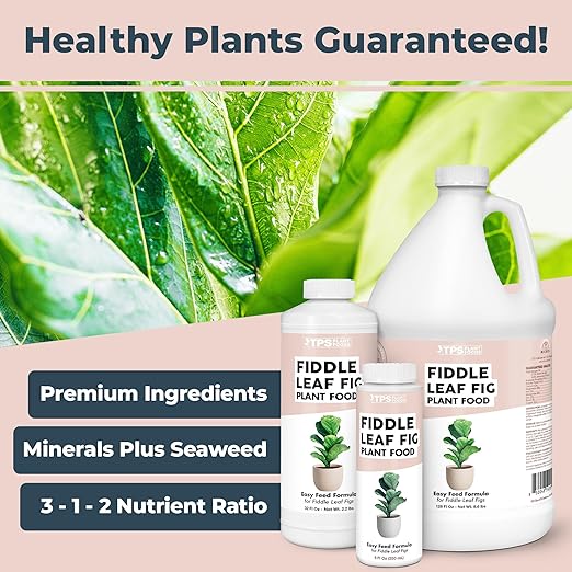 Fiddle Leaf Fig Plant Food – Liquid Plant Food for Bigger Leaves, Stronger Roots & Healthy New Growth, 32 oz
