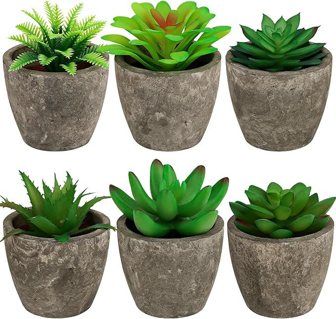Succulents Plants Artificial Set of 6 Small Realistic Fake Succulent Plant in Pots Realistic Faux Greenery Plants Potted for Home Office Desk Indoor Bedroom Living Room Decoration
