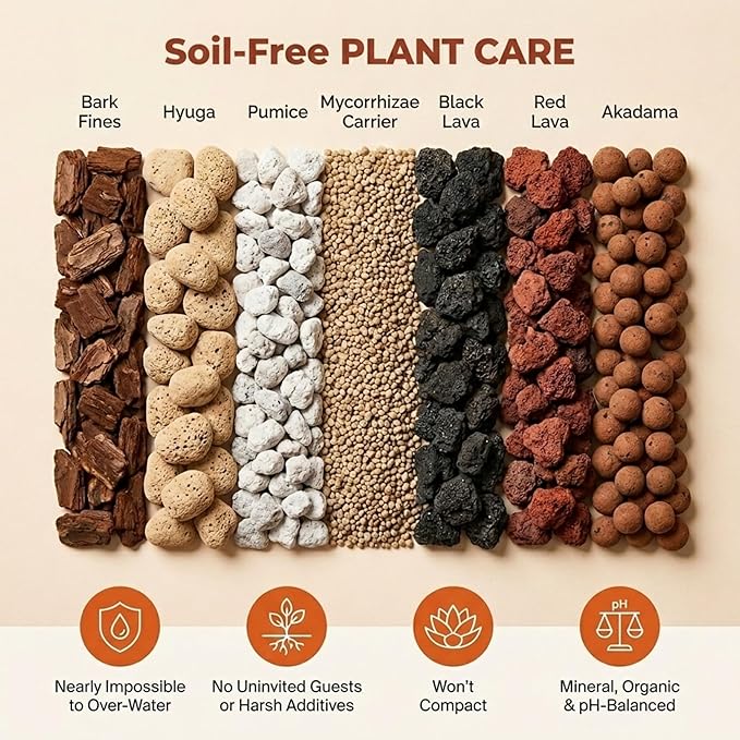 Molly's Succulent Mix - Premium Gritty Soilless Potting Mix for Succulents, Cactus and Bonsai - Contains Akadama, Hyuga, Bark Fines, Pumice, Lava Rock, Mycorrhizae 5 Dry Quarts