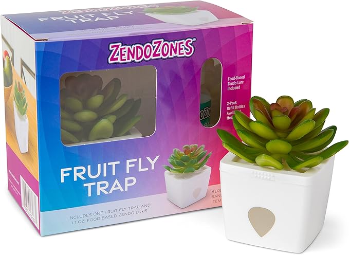 ZendoZones Succulent Fruit Fly Trap – Serene Sandy Design with White Base – Eco-Friendly Indoor Fruit Fly Control – Easy-to-Use Decorative Trap