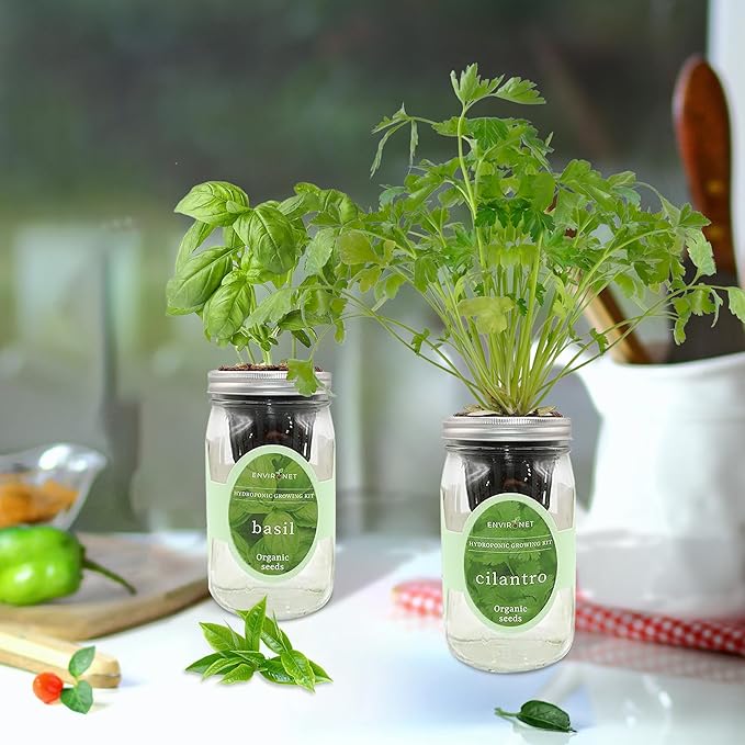 2-Pack Hydroponic Mason Jar Herb Garden Kit, Indoor Herb Garden Self-Watering Starter Kit (Basil,Cilantro)