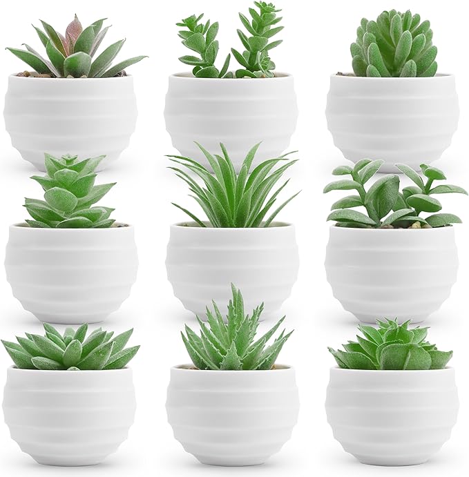 Der Rose 9 Pack Fake Plants Small Realistic Succulents Plants Artificial for Home Room Decor Indoor