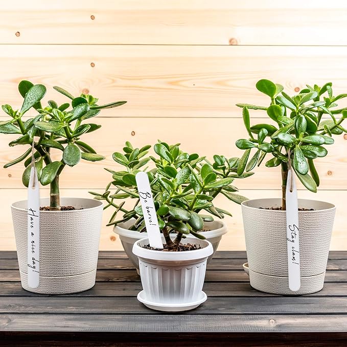 Whaline 200Pcs Thick Plastic Plant Labels with Hole White Garden Stake Markers Waterproof Garden Tag Signs for Greenhouse Seedlings Flowers Spotted Plants with 2 Marker Pen and Twine (10 CM)