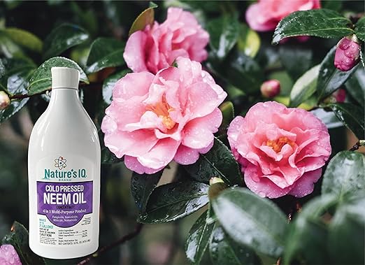 Nature's IQ Advanced Formula Neem Oil with Built in Mixing Agent. Concentrated neem Oil Spray for Plants. 4 in 1 Products. Controls Insects, Mites, Fungus, and Nematodes. 4-16oz Bottles.