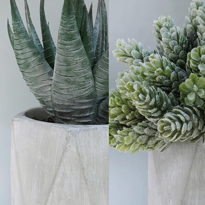 Winlyn Set of 3 Mini Artificial Succulent Plants Potted Small Fake Aloe Hops String of Pearls Plants in Gray Hexagon Ceramic Pots for Modern Home Office Desk Living Room Kitchen Table Shelf Décor