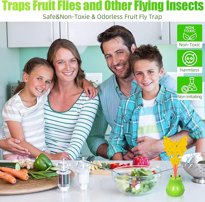 4 Pack Fruit Fly Traps for Indoors Reusable Fungus Gnat Trap for Home Kitchen Plant Drain Fly Killer Catcher for Indoor Pest Control for Bugs Gnats Mosquitoes Flies 20 Sticky Pads & 2 Baits