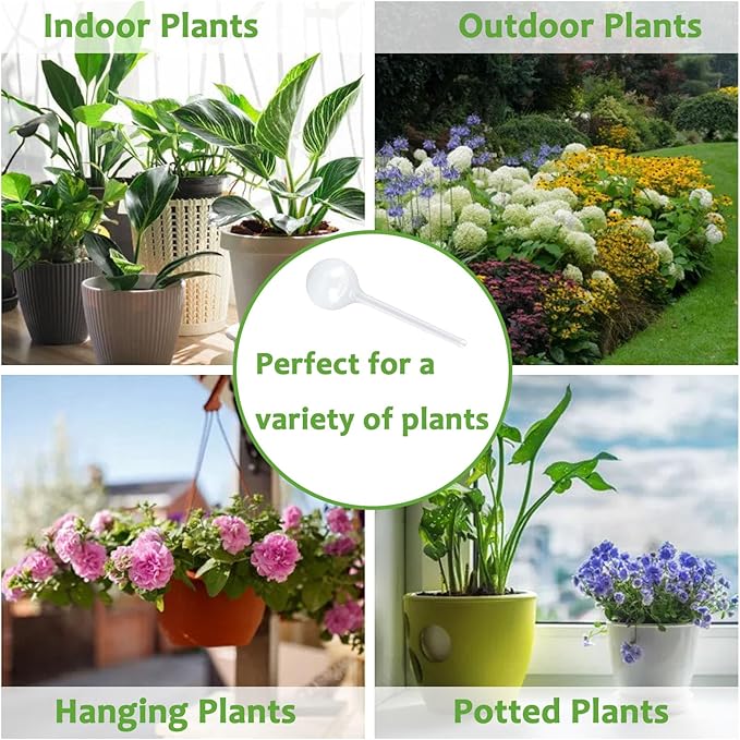 Plant Watering Globes, Self Watering Bulbs for Indoor & Outdoor Plants, Plastic Self-Watering Balls Automatic Water Irrigation Device (Clear, Large 6 Pack)