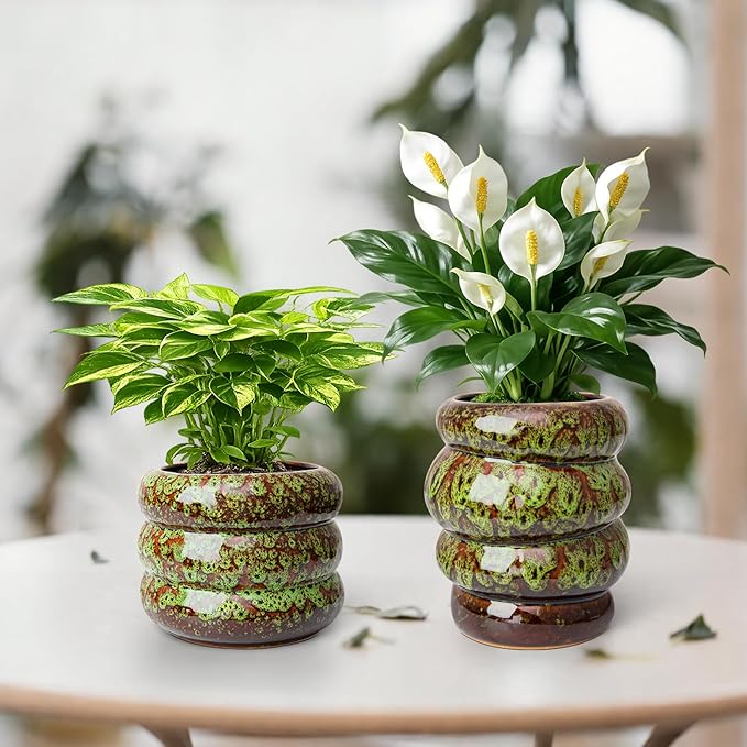 Ceramic 5 inch Plant Pot - Planter for Indoor Plants with Drainage Hole, Flower Pots for Orchid, Succulent,Outdoor Plants, Modern Glaze Planters for Home Office Decor Gift