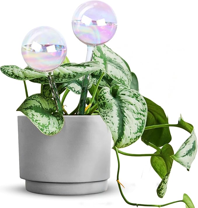 EcoNour 2PCS Light Iridescent Self-Watering Glass Globes | Automatic Plant Waterer for Indoor & Outdoor Use | Provides Up to a Week of Hydration | Ideal for Plant Lovers