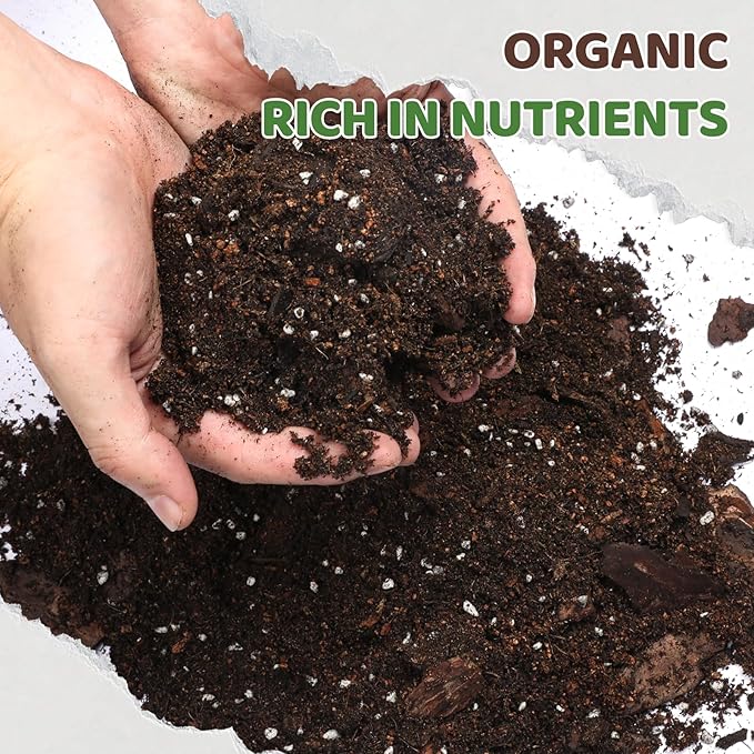 Doter Premium Snake Plant Soil Mix 4qt, Indoor Plants Potting Mix for All Potted Snake Plants, Promote Healthy Growth and Easy Care