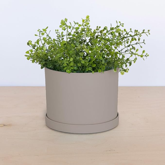 Bloem Mathers 8" Pebble Stone Round Modern Resin Garden Planter Pot with Drainage Holes and Removable Saucer Tray Included