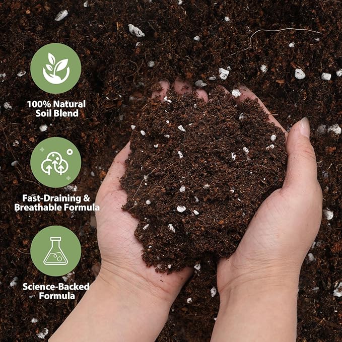All-Natural Strawberry Soil & Potting Mix 4qt - Premium Potting Soil for All-Stage Strawberry Growth