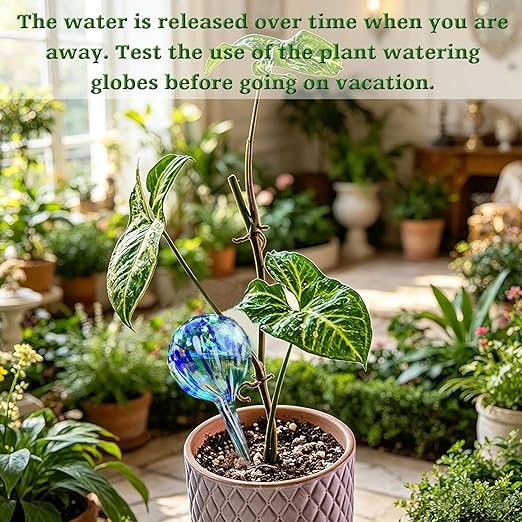 Plant Watering Globes - 6 Pack Colorful Glass Self Watering Bulbs for Plants, Automatic Plant Watering Devices for Indoor & Outdoor Use