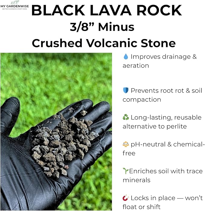GARDENWISE Lava Rocks for Plants (3/8’’ Minus), Natural Black Lava Rocks, Succulent & Terrarium Horticultural Volcanic Rock, Ideal Drainage for Potted Plants, Made in USA (5 qts - 9 lbs)