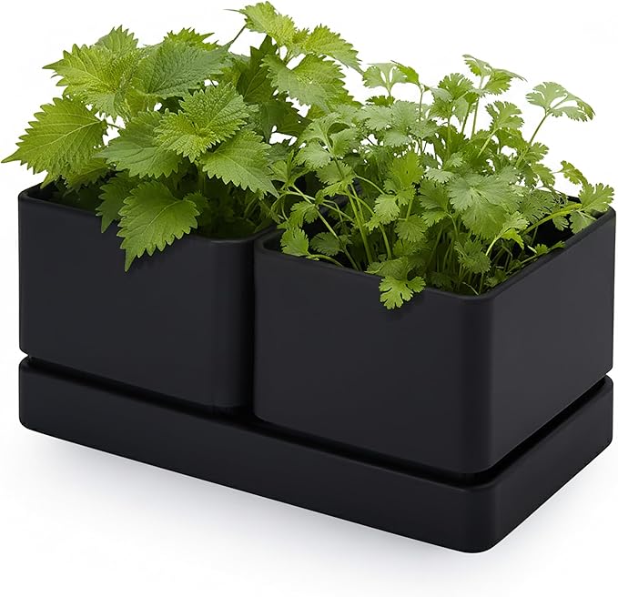 D'vine Dev Indoor Herb Garden Planter Set, Plastic Windowsill Plant Pots with Drainage and Saucer, Indoor Succulent Cactus Vegetable Pot for Balcony, Office, Garden, Black, Set of 1, 76-Q-B-1