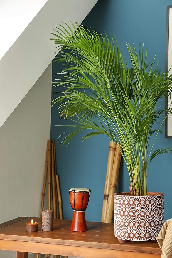 D'vine Dev 8 Inch Terracotta Planter Pot, Modern Design Ceramic Plants Pot with Drainage Hole, Desert Mirage, 33-953-B-1