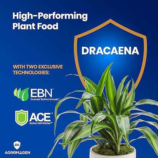 AgroMagen Plant Food with Essential Nutrients & Chelated Micronutrients, Liquid Fertilizer (4 fl.oz.) (Dracaena)