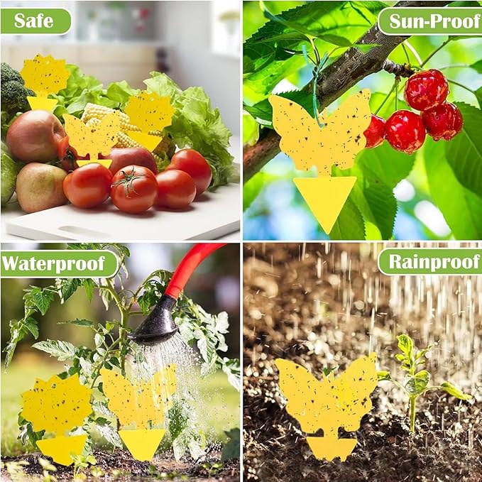 Fruit Fly Sticky Trap 46 Pack - Gnats Insect Traps for Indoor Outdoor, Yellow Double-Sided Sticky Insect Catchers Fungus, Fruit Flies, Whiteflies, Aphids, Leaf Miners