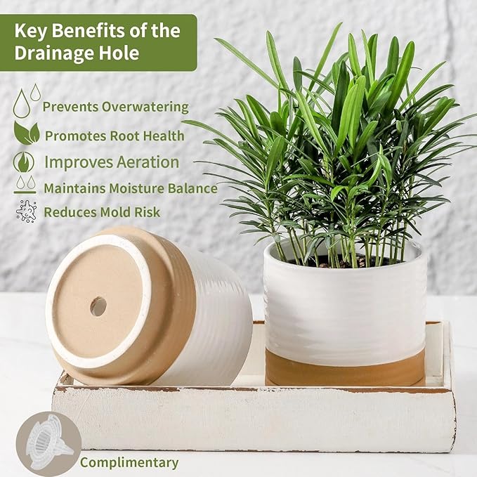HASENSE Ceramic Plant Pots with Saucers Set of 3, 8+6+4.6 Inch Planters for Indoor Plants with Drainage Holes,Two-Tone Design White Flower Pots for Snake Plants & Cactus,Home & Office Decor