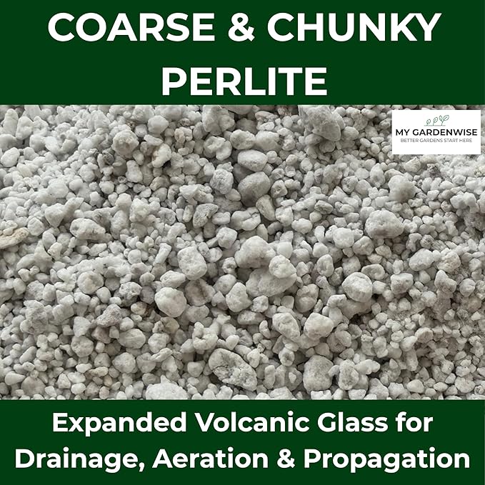 GARDENWISE Perlite for Plants, Coarse and Chunky Horticultural Perlite, Organic Perlite for Gardening Indoor & Outdoor, Perlite Bulk Bag, Made in USA (3 quarts)