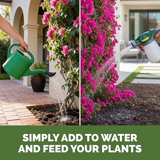 Bougainvillea Fertilizer – Liquid Plant Food for More Blooms, Brighter Color & Fuller Growth, 32 oz